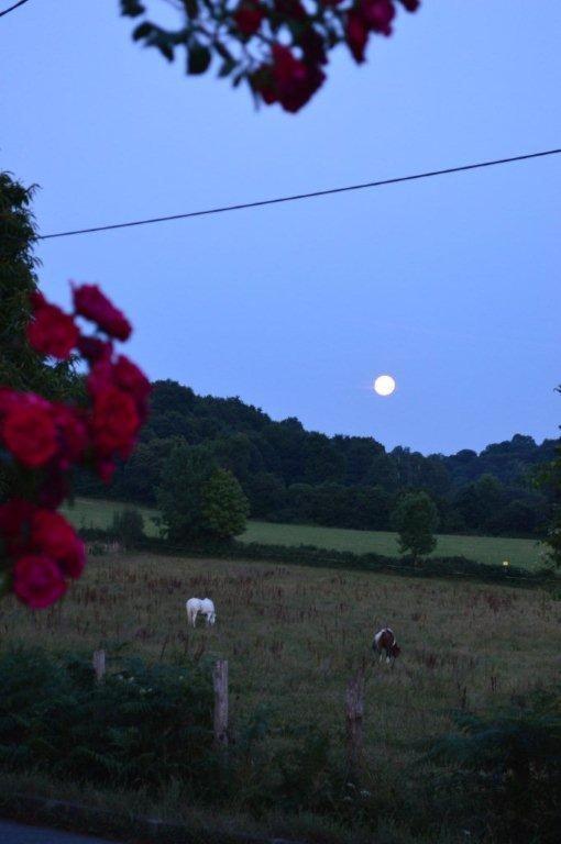 Coarraze Beth Soureilh Adults Only B&B 외부 사진